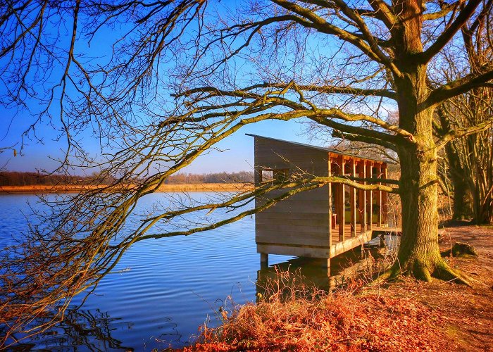 Platwijer Natuurreservaat de Platwijers in Hasselt - Zonhoven photo