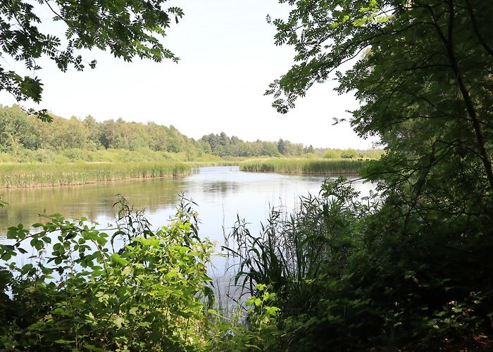 Platwijer The Top Hiking Trails in Heusden-Zolder | Outdooractive photo