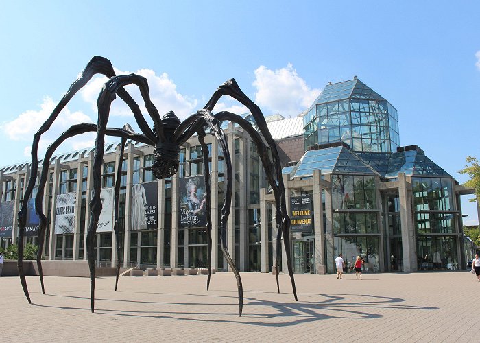 National Gallery of Canada National Gallery of Canada Suddenly Fires Four Senior Staff photo