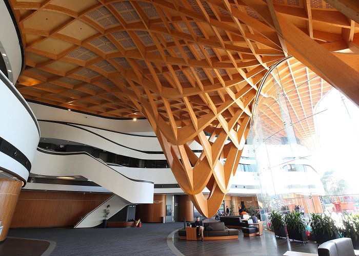 Melbourne City Library 11 beautiful libraries to visit in Melbourne | Best libraries photo