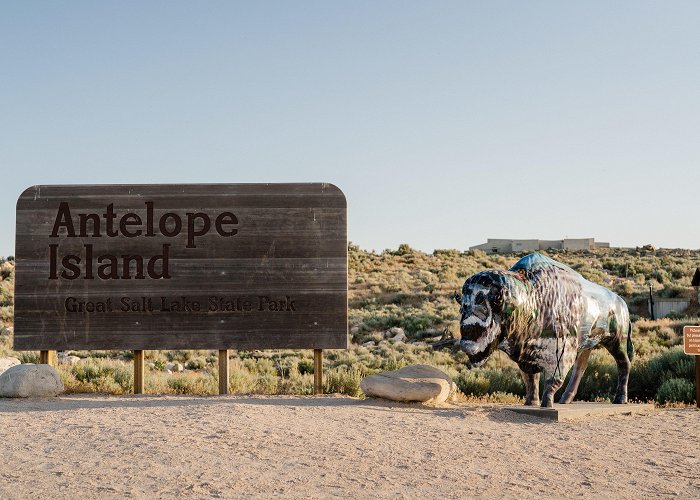 Antelope Island State Park Antelope Island State Park photo