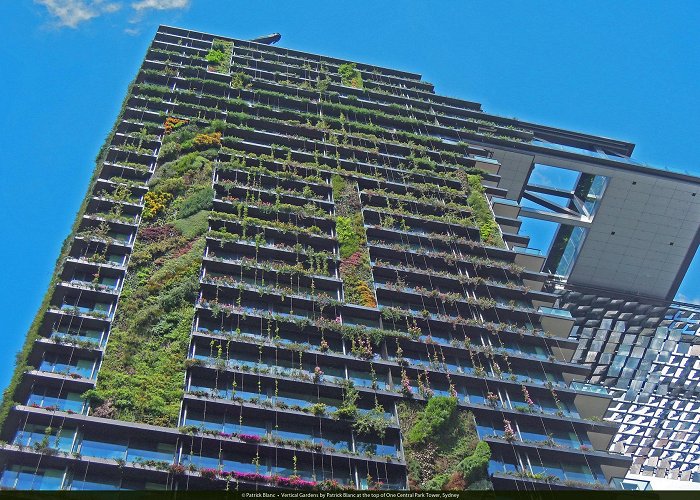 Central Park One Central Park, Sydney | Vertical Garden Patrick Blanc photo