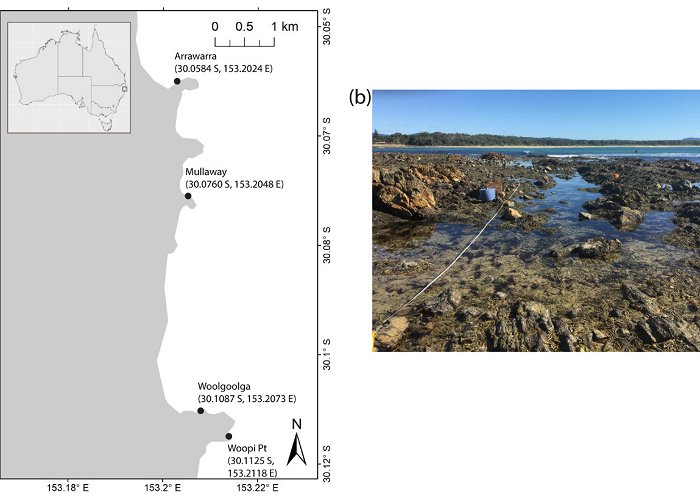 WE Smith Engineering Ecologies | Free Full-Text | Susceptibility of Tidal Pool Fish ... photo