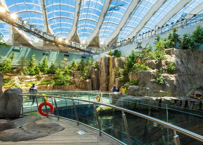 Montreal Biodome Montreal Biodome Tours - Book Now | Expedia photo