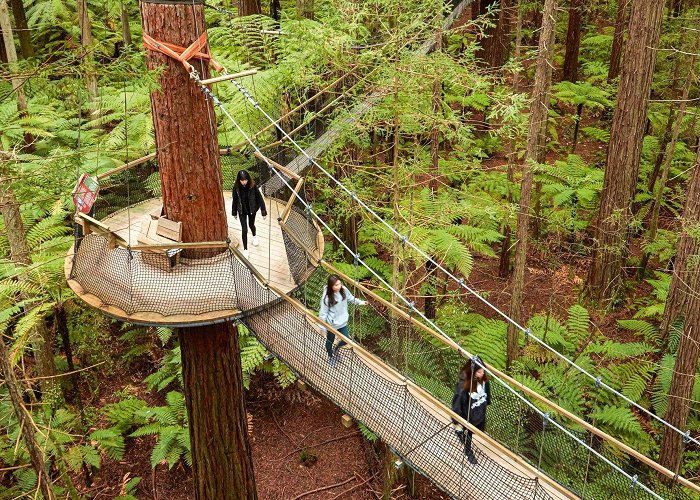 Whakarewarewa Forest Exploring the geysers and great redwoods of New Zealand's ... photo