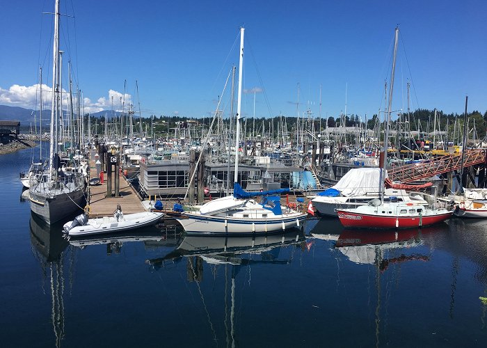 Anchorage Provincial Park Comox Municipal Marina in Comox - Tours and Activities | Expedia photo