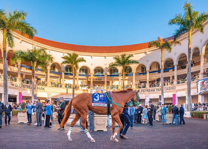 Gulfstream Park Pegasus World Cup, "The Greatest Luxury Event In Horse Racing ... photo