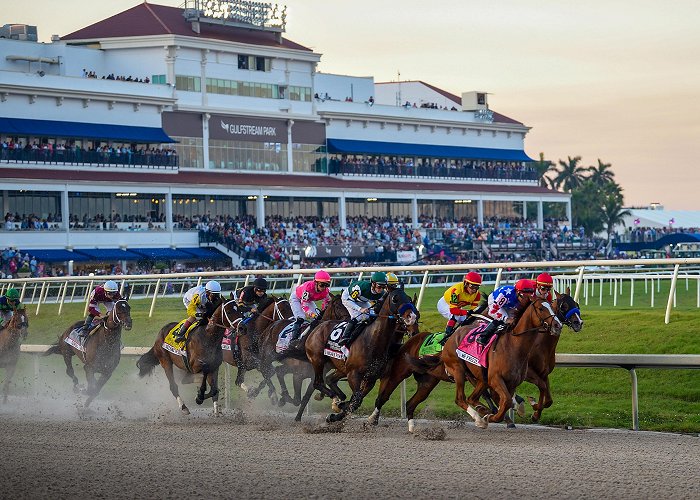 Gulfstream Park GULFSTREAM PARK photo