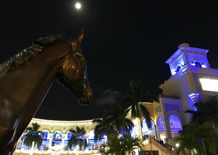 Gulfstream Park Hallandale Beach Local Expert: Find Things To Do in Hallandale Beach photo