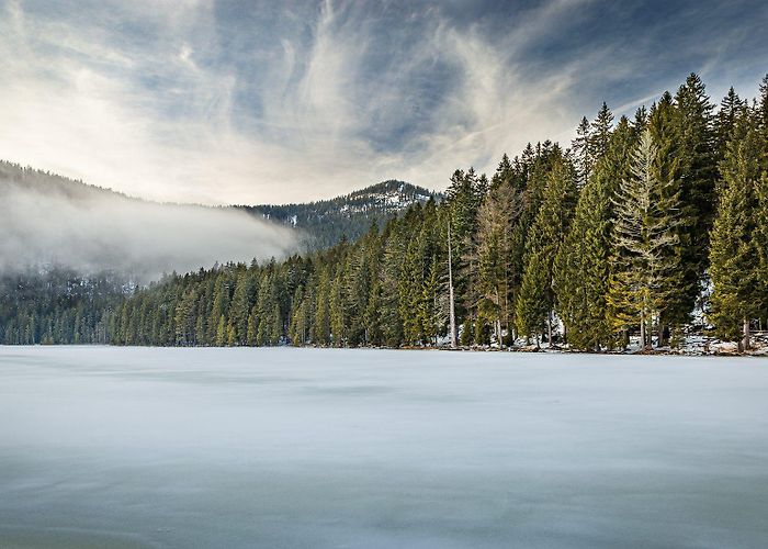 Rieslochfalle Grosser Arbersee, Germany photo