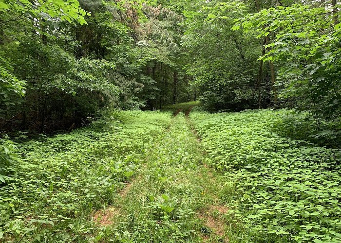 Pretty River Valley Provincial Park Pretty River Valley Provincial Park | Grey County's Official ... photo