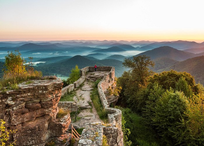 Fleckenstein Castle Top 20 premium circular walks to castles in Rhineland‑Palatinate • ... photo