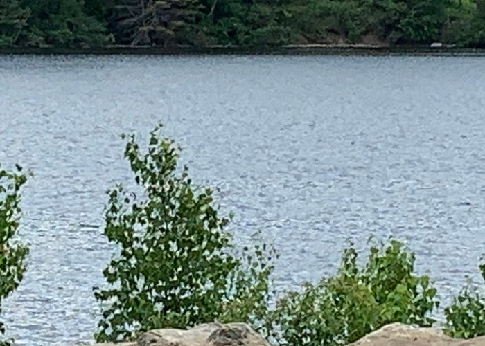 Silver Lake Provincial Park Maine wardens stress water safety after string of drownings photo