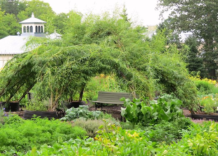 Domaine Cataraqui Living willow – Les Urbainculteurs photo