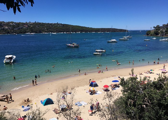 Chinamans Beach Chinamans Beach - Mosman : r/sydney photo