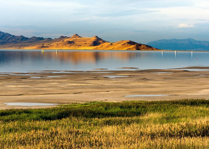 Antelope Island State Park Great Salt Lake Needs Your Visit | Visit Utah photo