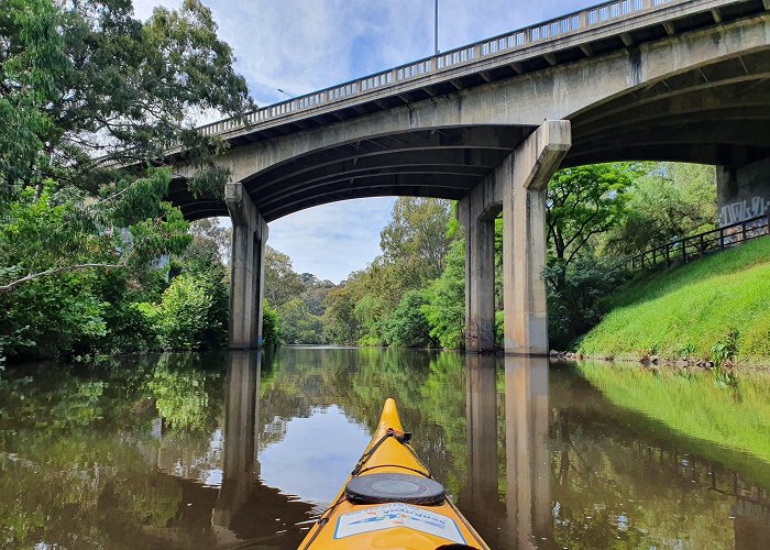 Yarra River Kayaking the lower Yarra River — Melbourne Sea Kayaking photo