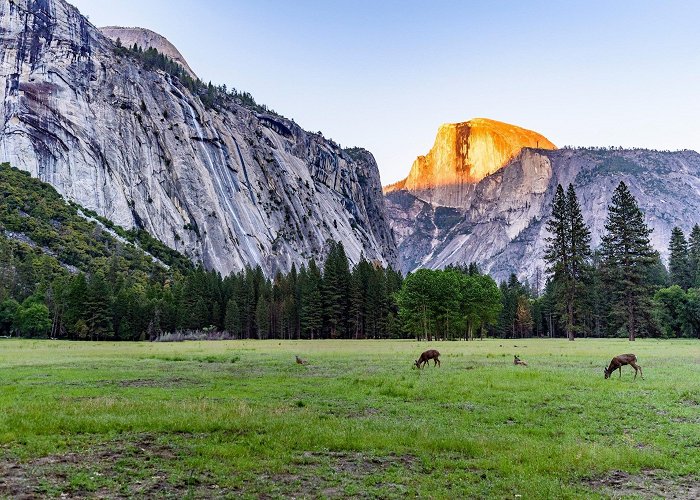 Vernal Falls Things to Do in Curry Village in 2024 | Expedia photo