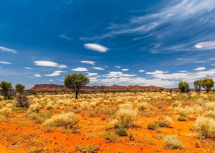 Dalgety House Museum Visit Port Hedland: 2024 Travel Guide for Port Hedland, Western ... photo