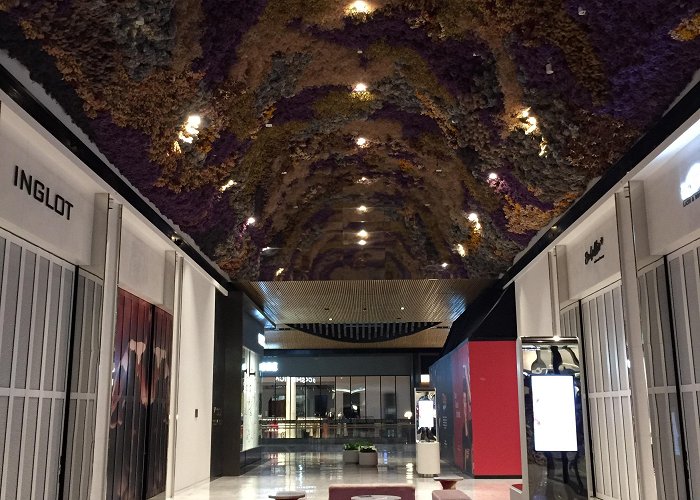 Eastland Shopping Centre Cool roof in Eastland Shopping Centre, Melbourne, Aus. Not dead ... photo