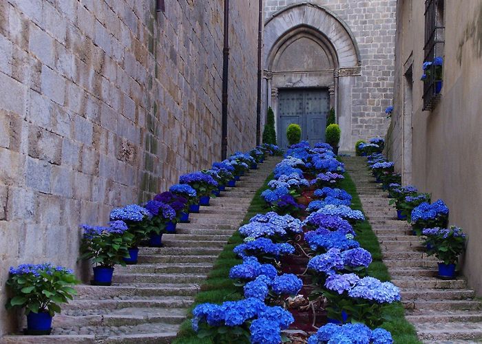 Fira de Girona Girona Flower Festival (Temps de Flors) 2024 in Spain - Dates photo