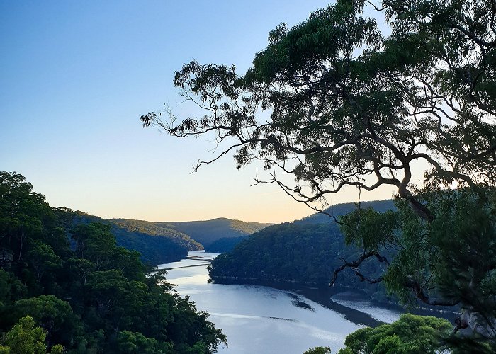 Berowra Mt. Kuring-gai track (Ku-ring-gai Chase National Park) : r/sydney photo