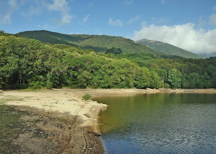 Natural Park of Montseny Montseny Natural Park Tours - Book Now | Expedia photo