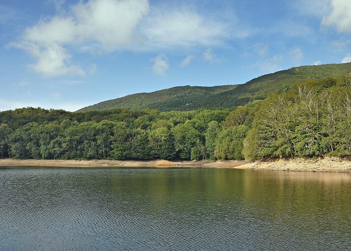 Natural Park of Montseny Montseny Natural Park Tours - Book Now | Expedia photo