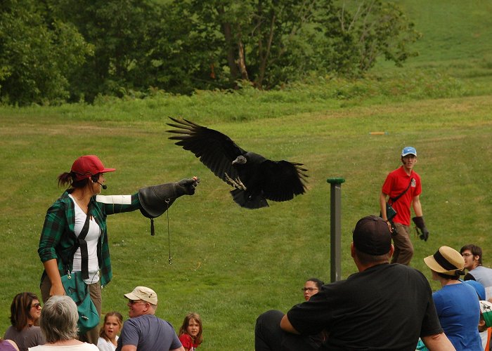 Jardin Daniel A Seguin Activities for the whole family! - Tourisme Saint-Hyacinthe photo