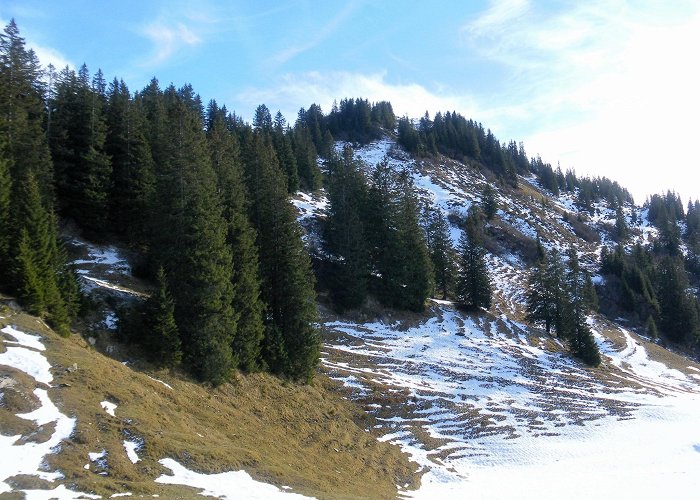 Nob Nob 1785m and Gapfohler Falben 1793m • Mountain Hike ... photo