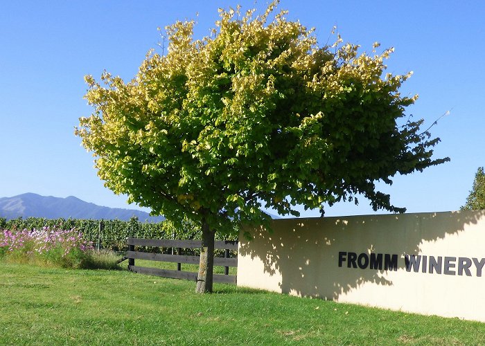 Fromm Winery A Tour Down Under, Marlborough | amarchinthevines photo