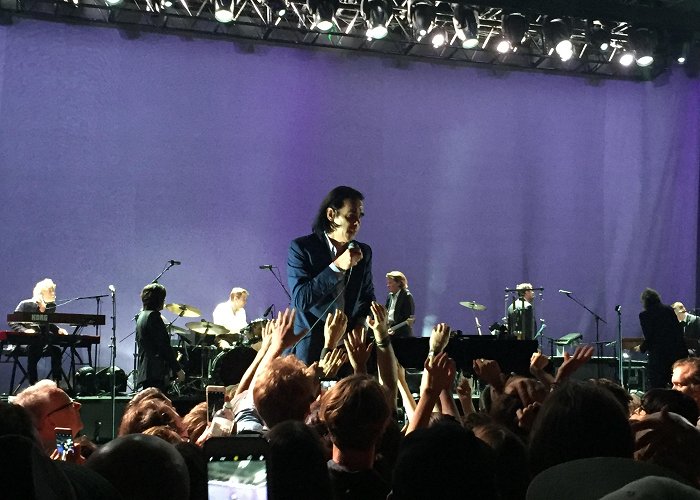 Riverstage Live review: Nick Cave and the Bad Seeds – Riverstage, Brisbane ... photo