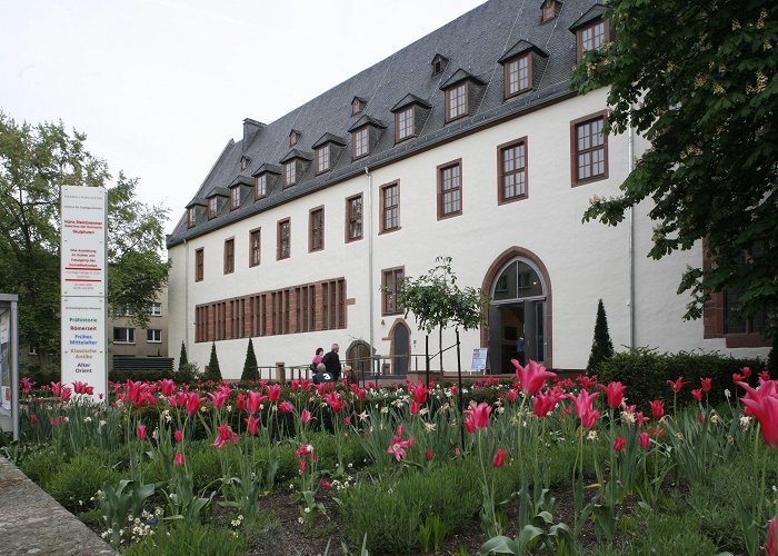 Karmeliterkloster 10+ Venues with Outdoor Spaces in Kronberg, Germany | The Vendry photo