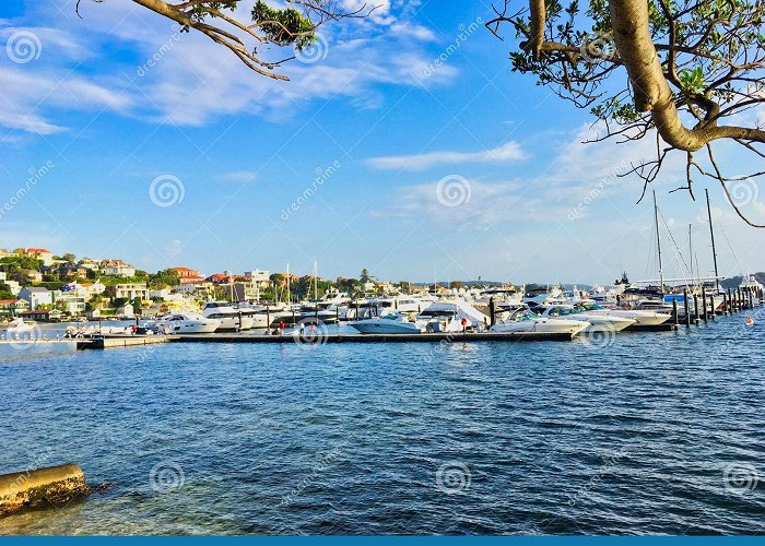 Point Piper Marina Rose Bay Marina, Sydney Harbour, Australia Stock Image - Image of ... photo