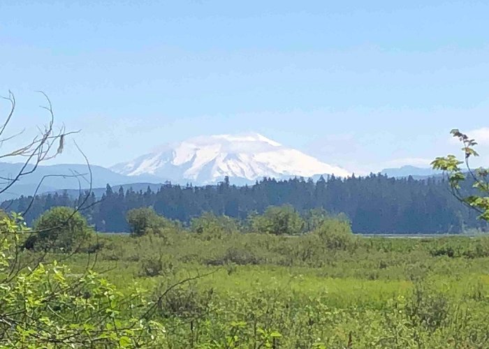 Mt St Helens Information Center Camping near Silverlake, WA: 50+ Best Places to Camp photo