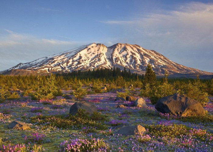 Mt St Helens Information Center Mount St. Helens | Vancouver, WA Regional Attractions photo