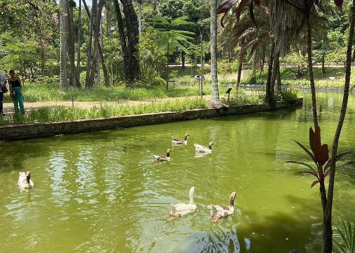 Municipal Park Sunday morning in the Belo Horizonte Municipal Park - Belo ... photo