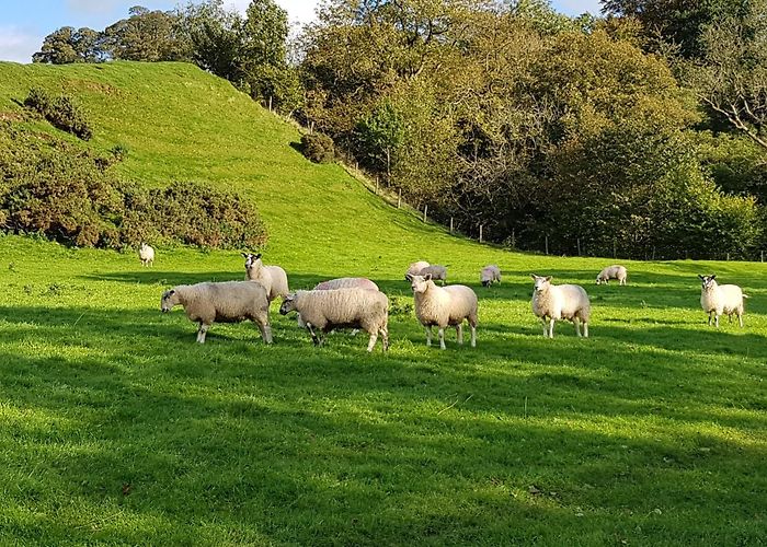 Ravenstonedale photo