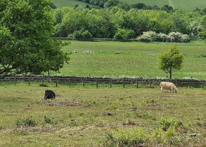 Rothley (Leicestershire) photo