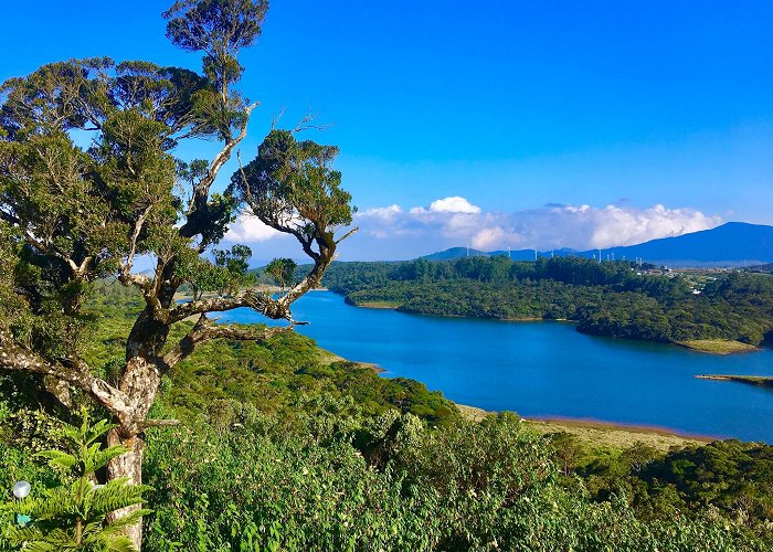 Nuwara Eliya photo