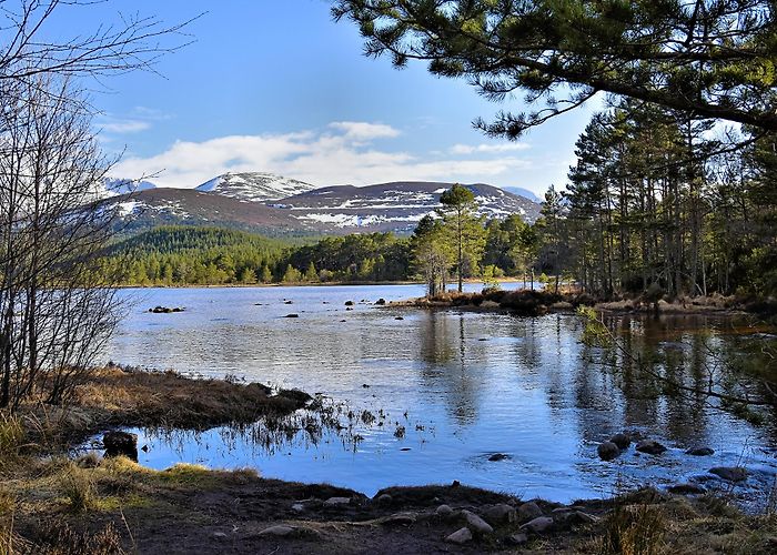 Aviemore photo