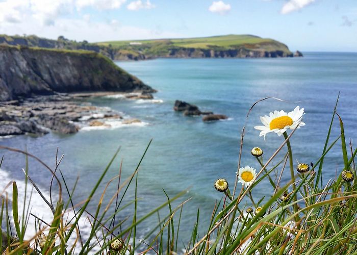 Newport (Pembrokeshire) photo