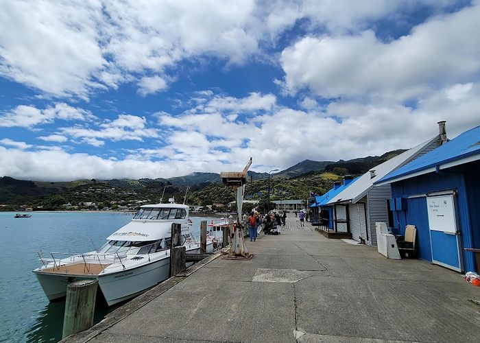 Akaroa photo