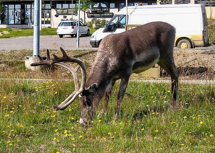 Saariselka photo