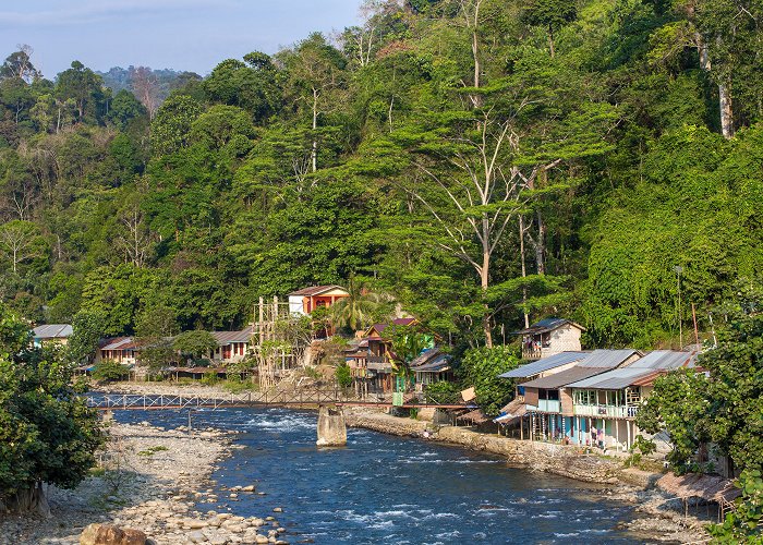 Bukit Lawang photo