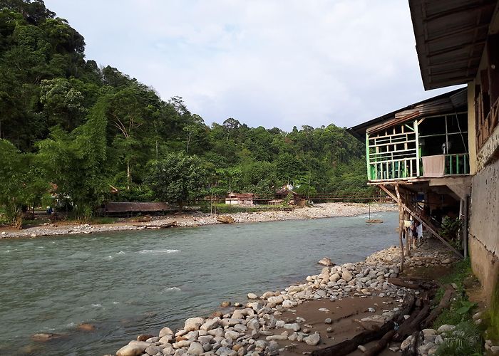 Bukit Lawang photo