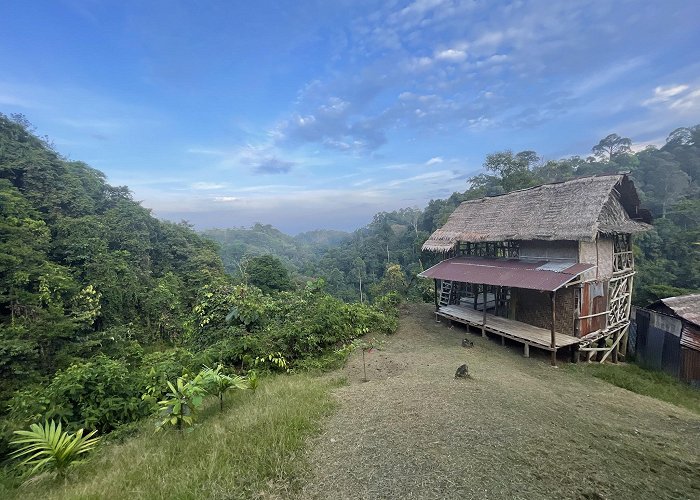 Bukit Lawang photo