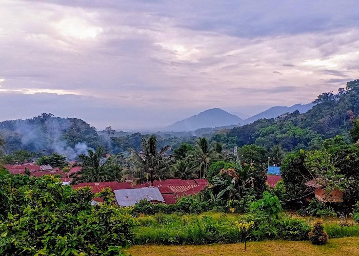 Bukit Lawang photo