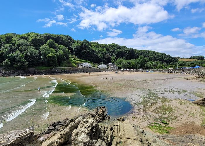 Salcombe photo