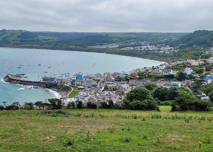 New Quay (Ceredigion) photo